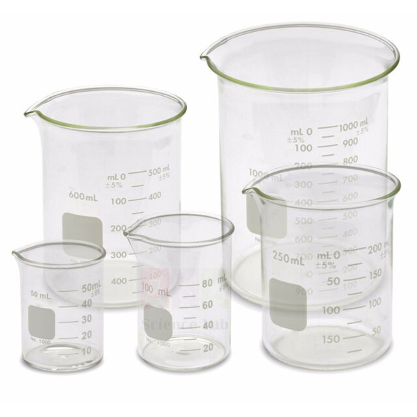Glass Beaker Set of 5